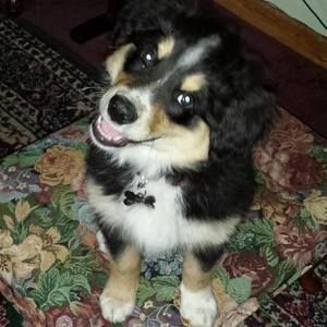 Meet your Posher, Jeanne